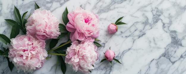 Foto bovenbeeld van bloemroze pioenen op marmeren achtergrond