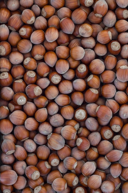Bovenbeeld van een groep hazelnoten van het seizoen