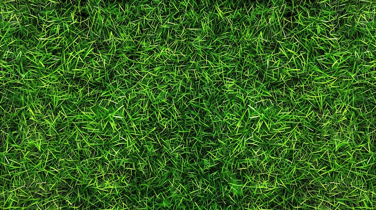 Foto bovenbeeld van groene grasstructuur achtergrond naadloos patroon voor sportveld of golfbaan oppervlak