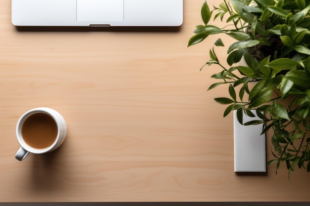 Foto bovenbeeld werkruimte laptop notebook pen en koffie met plant op houten tafel