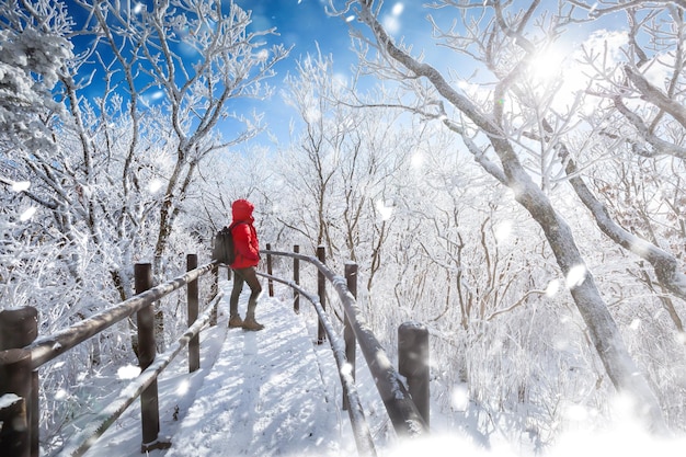 Bovenop de met sneeuw bedekte Deogyusan-bergen op een heldere dag en de sneeuw die in de winter door de wind wordt geblazen in Zuid-Korea