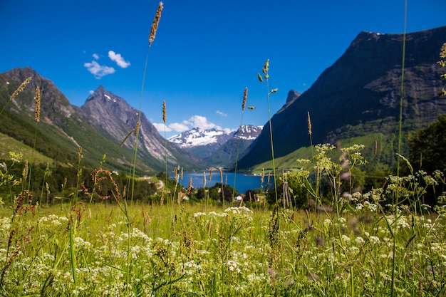 Bovenop de top van de berg met een fantastisch uitzicht op de Sunnmore Alpen in Noorwegen