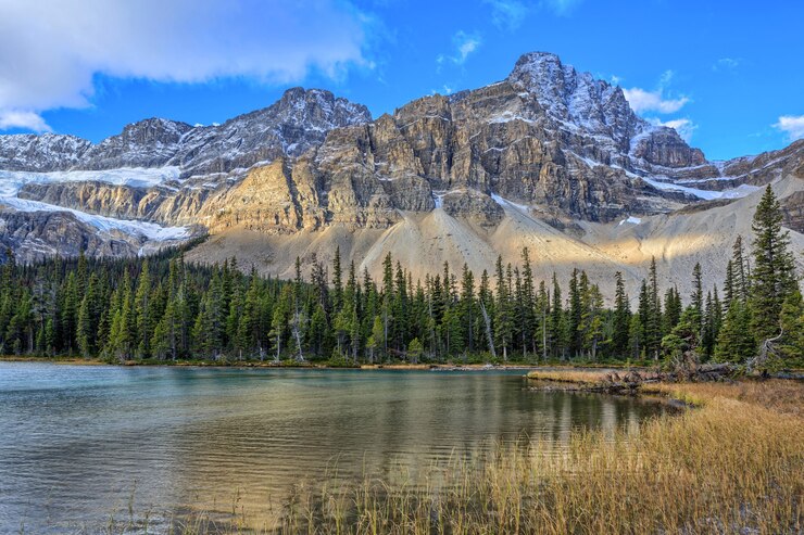 Bow Lake IcefieldsParkwayアルバータカナダ