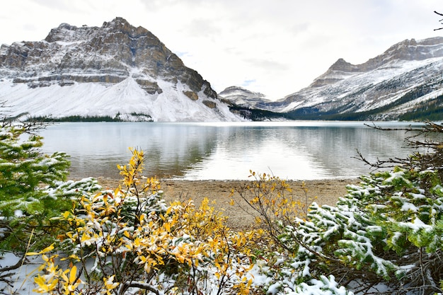 Bow Lake、ロッキー山脈、バンフ、アルバータ、カナダ