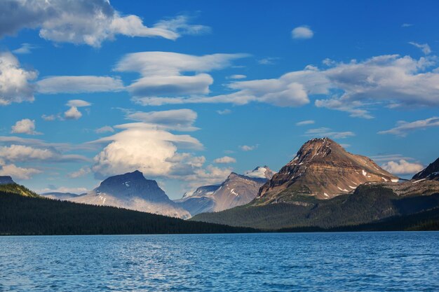 Bow lake