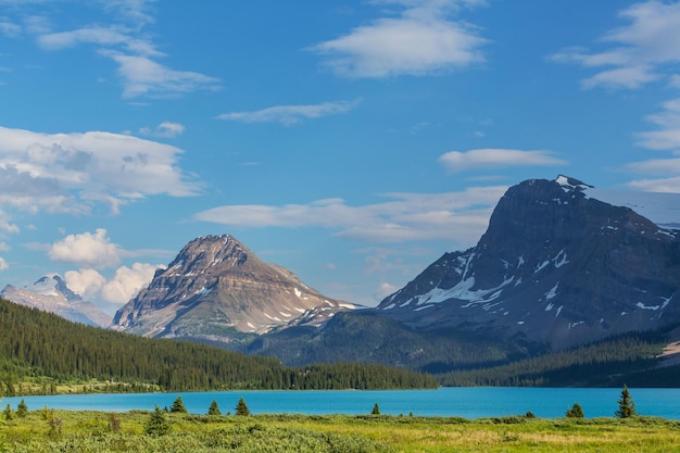 Bow lake