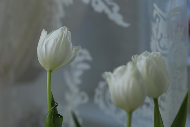 テーブルの上の花束でお辞儀をしたチューリップのつぼみ