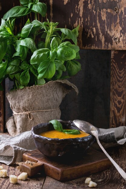 Bowl of carrot soup