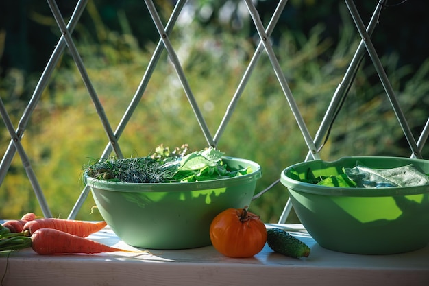 Чаша свежих овощей и трав в саду собирает витамины