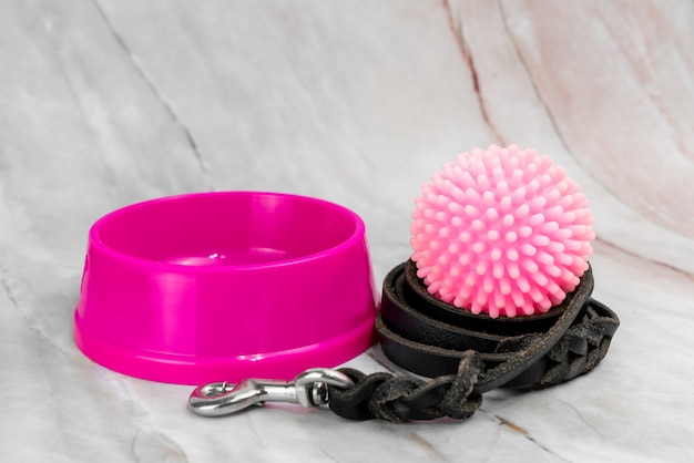 Bowl for pet and leashes with collars