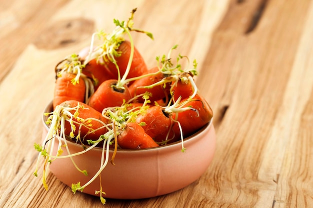 A Bowl of Rotten Carrot Not Fresh Baby Carrot