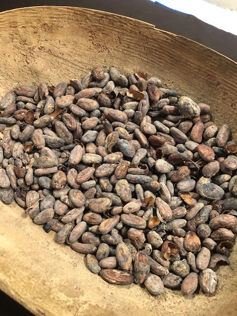 A bowl of seeds from the cocoa bean company.