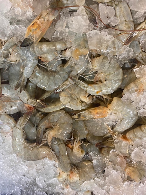 Photo a bowl of shrimp with ice on it