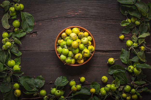 Bowl of wild apples.