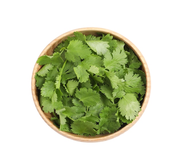 bowl with fresh green coriander leaves isolated on white top view
