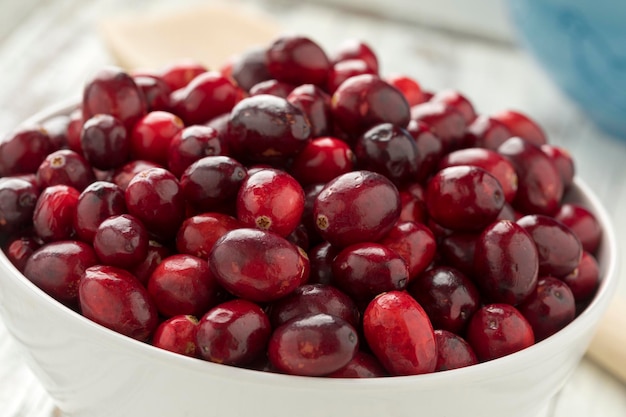 Bowl with fresh ripe cranberries