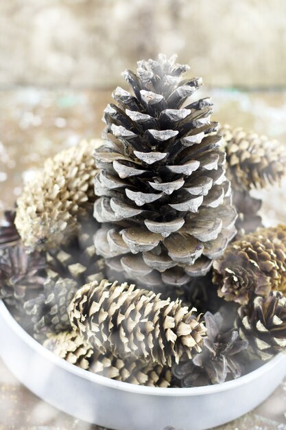 Bowl with pine cones decorations for winter holidays with painted swon