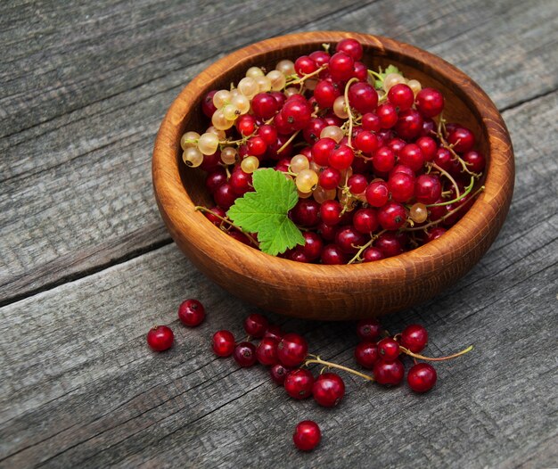 Bowl with red currant