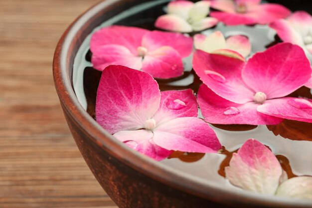 Bowl with water and hortensia flowers on wooden background close up