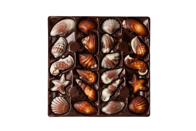 Box of chocolates seashells isolated on white background