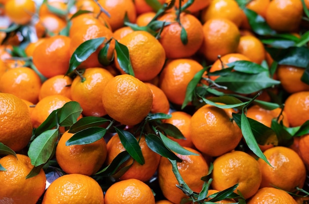 box of freshly picked ecofriendly tangerines