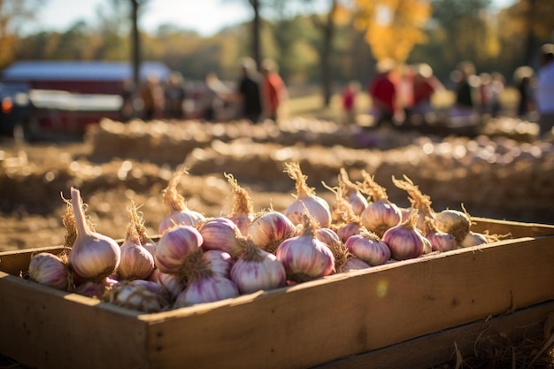 Photo a box of garlic is loaded with garlic.