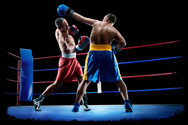 Box professional figters on the ring in lights