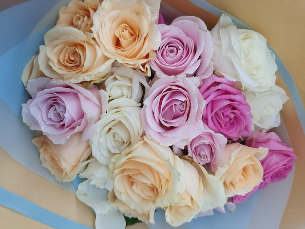 A box of roses with pink and white roses in it.