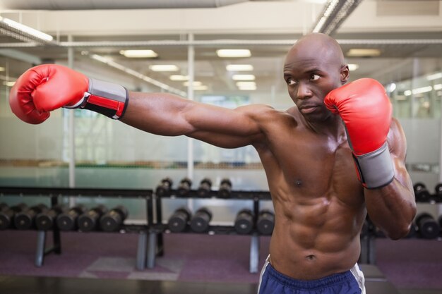 Boxer attacking with his right in health club