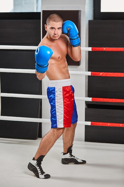 Boxer in blue gloves warming up in the ring