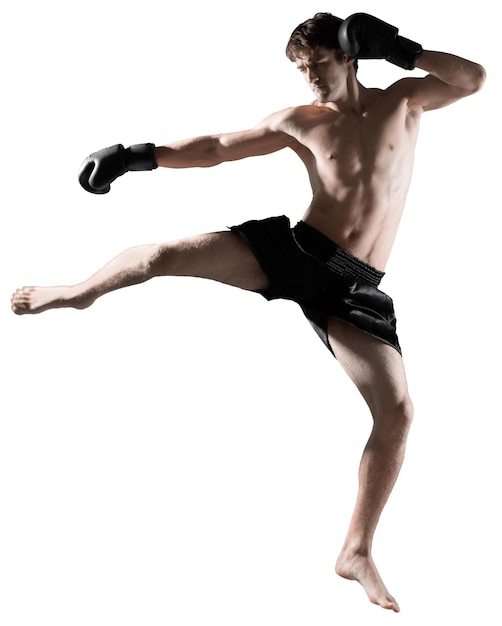 권투 선수 권투 권투 장갑 백인 눈에 띄는 mma 파이터