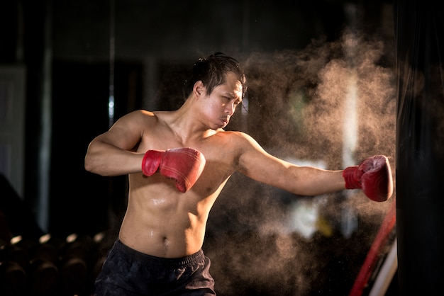 Boxer boxing in punching bag