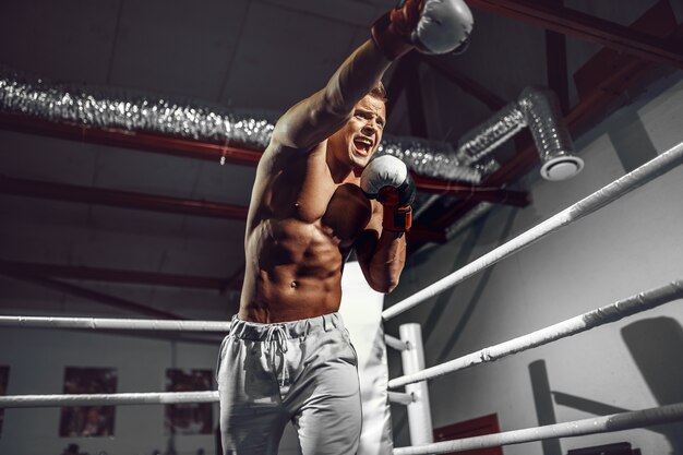 Boxer. Confident young boxer on the boxing ring