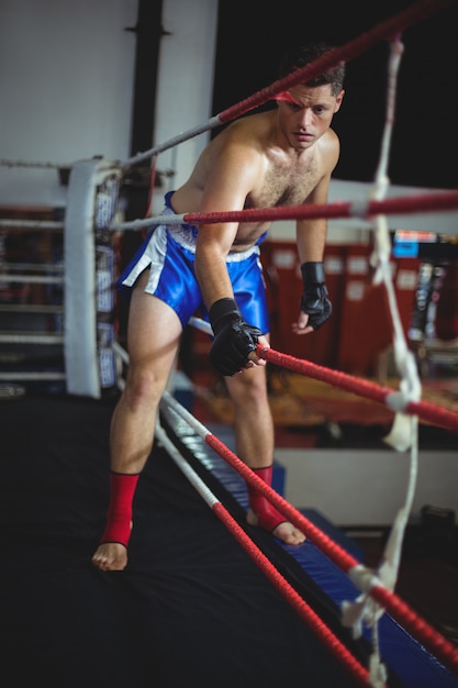 Boxer entering in boxing ring