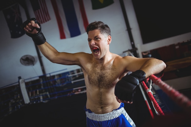 Boxer posing after victory