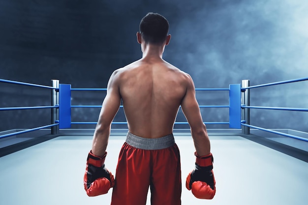 boxer on the ring sport theme