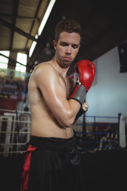 Boxer with boxing gloves