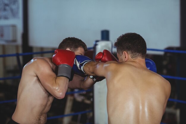 Boxers fighting in boxing ring