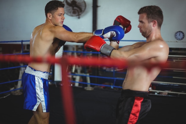 Boxers fighting in boxing ring