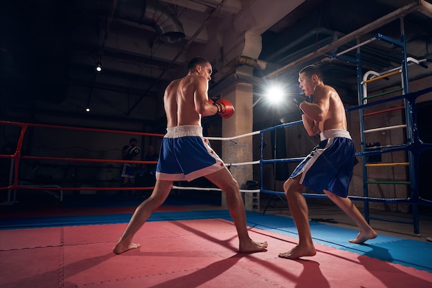 Боксеры тренируются по кикбоксингу на ринге в оздоровительном клубе