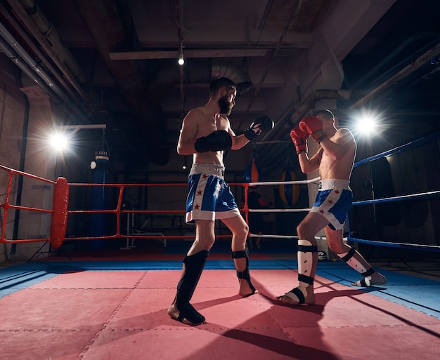 Boxers training kickboxing in the ring at the health club