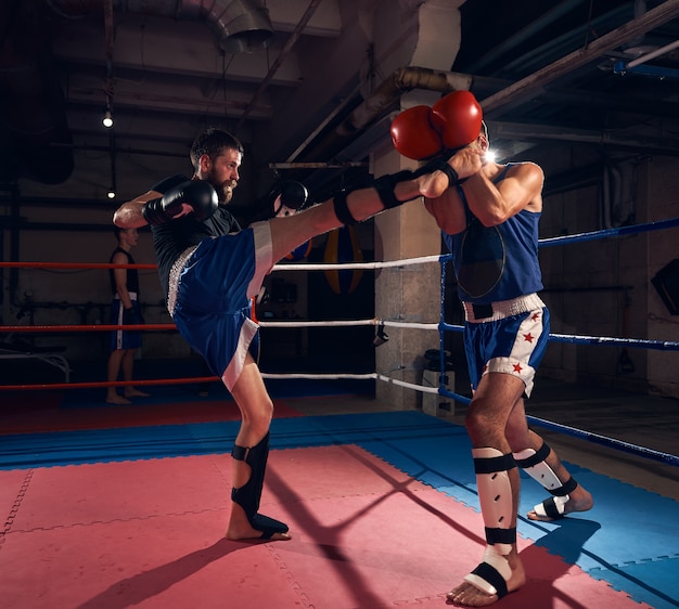 Boxers training kickboxing in the ring