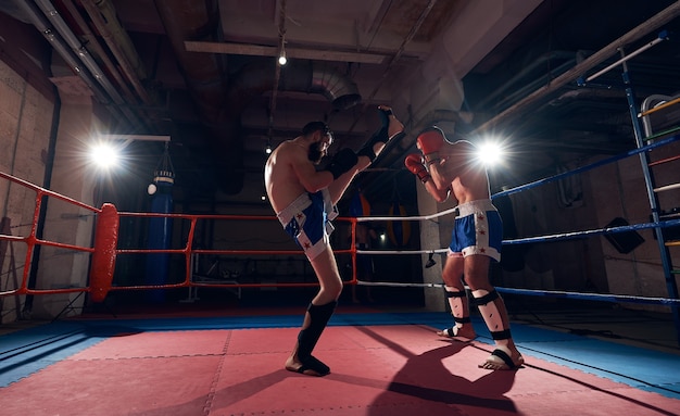 Boxers training in the ring