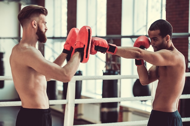 В бойцовском клубе тренируются боксеры с голыми торсами.