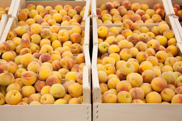 Boxes of peaches on the counter in the store.