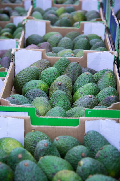 Boxes with avocado