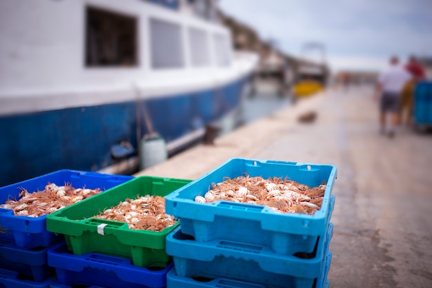 boxes with shrimps for sale