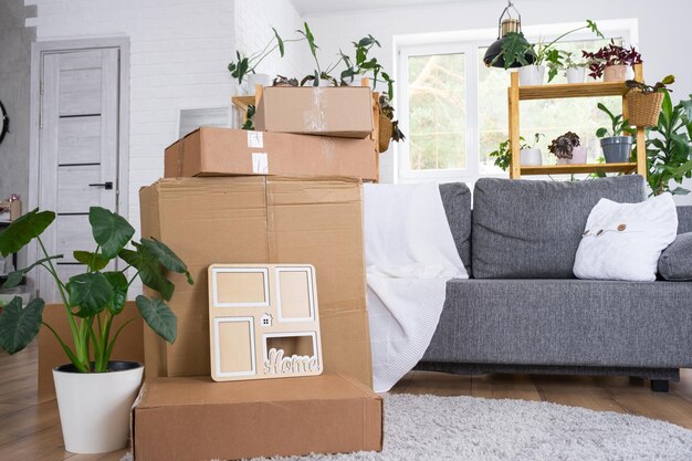 Boxes with things for moving and house plants are in the room of the new house Housewarming family property cargo transportation and delivery of things