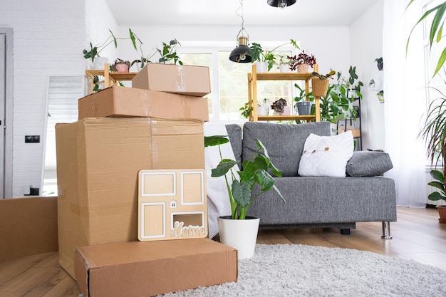 Boxes with things for moving and house plants are in the room of the new house Housewarming family property cargo transportation and delivery of things