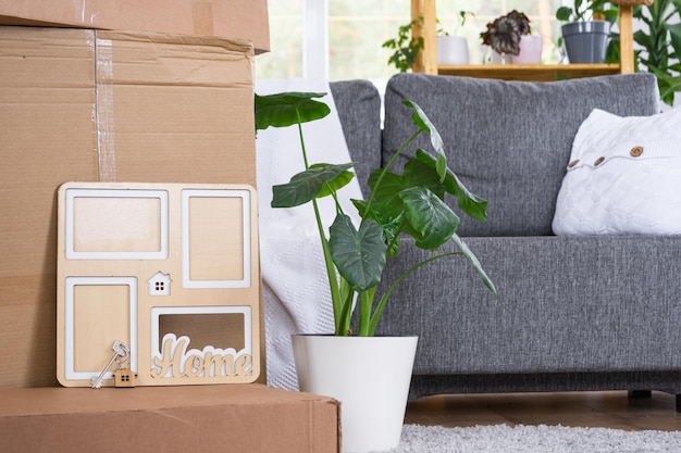 Boxes with things for moving and house plants are in the room of the new house Housewarming family property cargo transportation and delivery of things